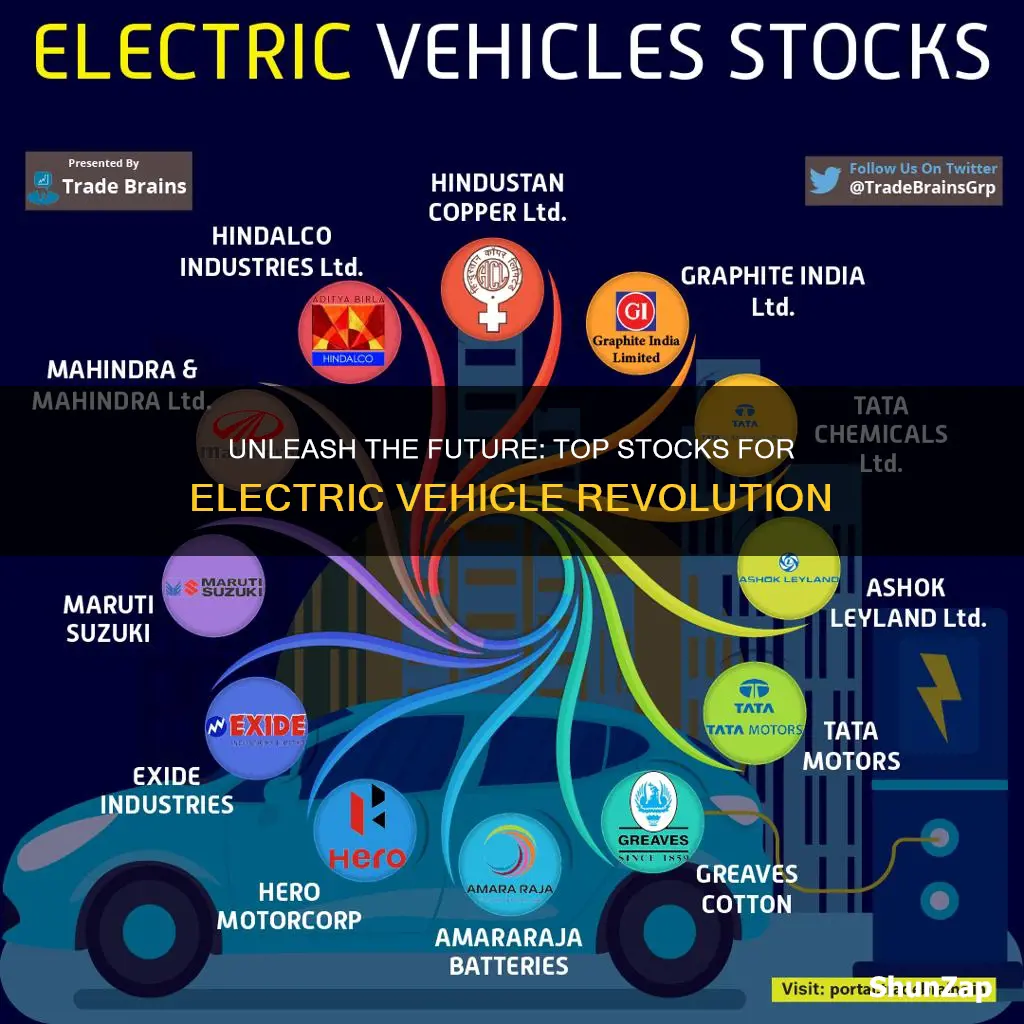 what stocks to invest in for electric vehicles