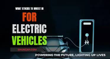 Electric Vehicle Revolution: Stocks to Invest in Now