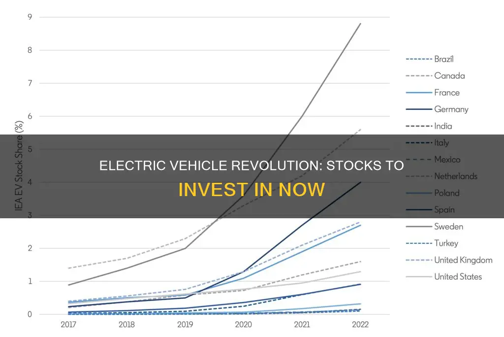 what stocks to invest in for electric vehicles