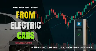 Electric Vehicle Revolution: Top Stocks Poised to Surge in the EV Era