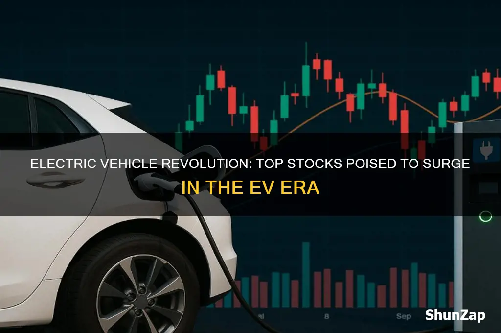 what stocks will benefit from electric cars