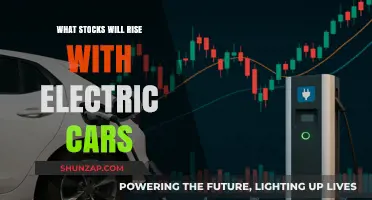 Electric Vehicle Boom: Top Stocks Poised for Growth in 2023