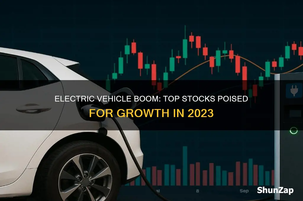 what stocks will rise with electric cars