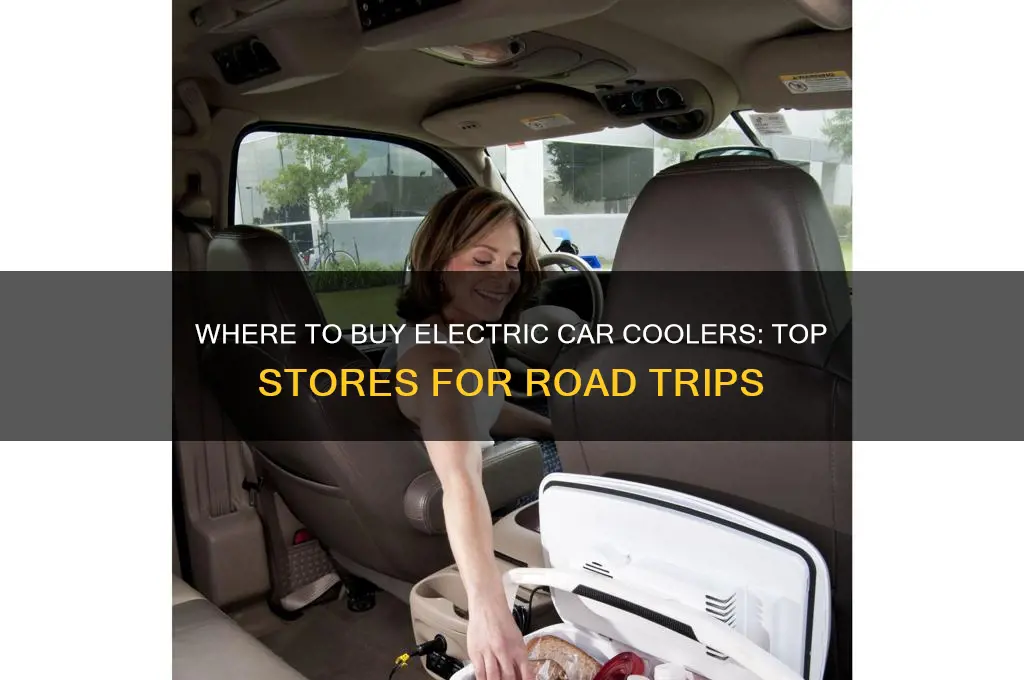 what store carries electric cooler for car