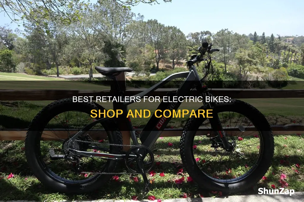 what stores sell electric bikes