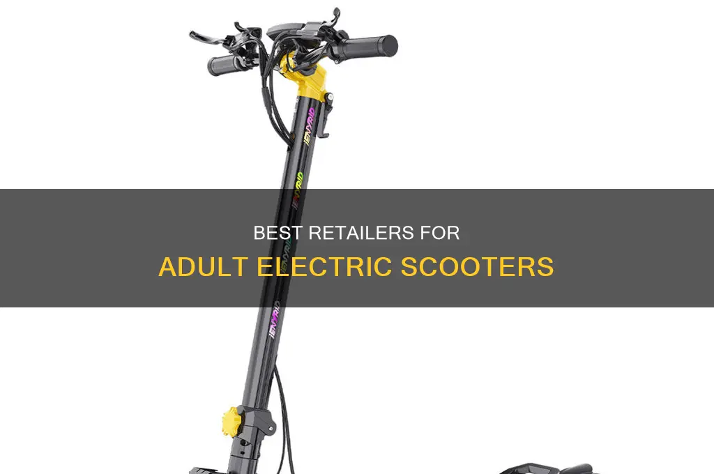 what stores sell electric scooters for adults
