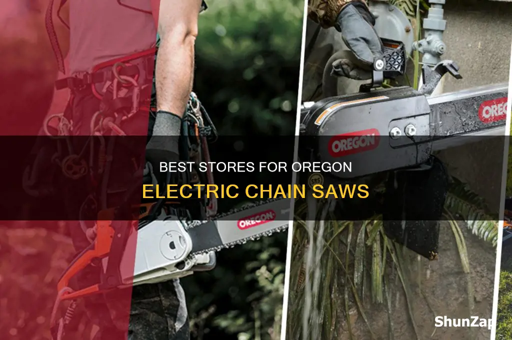 what stores sell oregon electric chain chainsaws