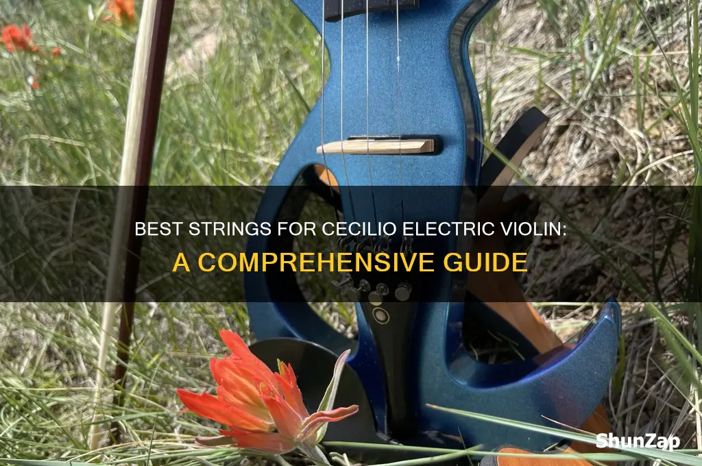 what strings do i use on cecilio electric violin