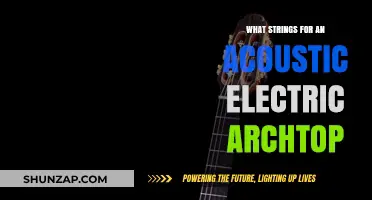 Best Strings for Your Acoustic Electric Archtop Guitar