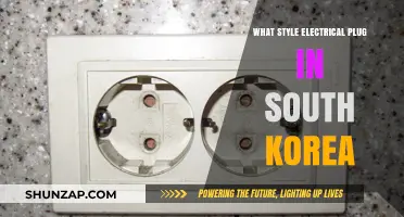 South Korea's Electrical Plug Style: A Traveler's Guide
