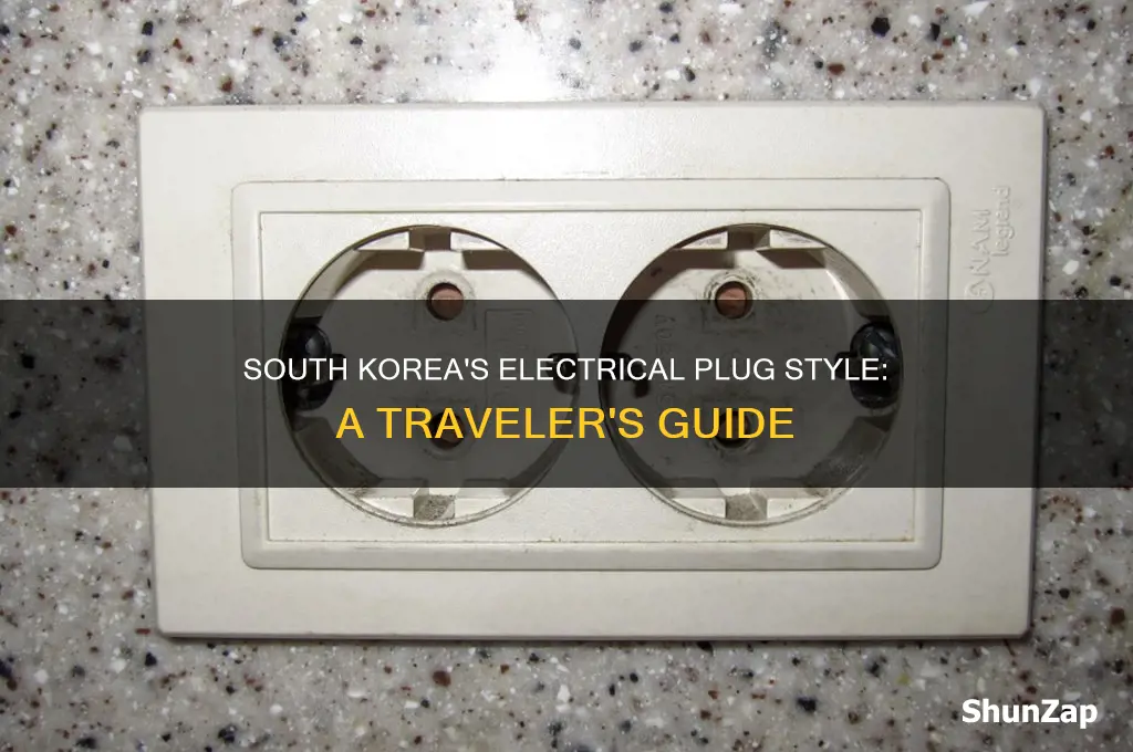 what style electrical plug in south korea