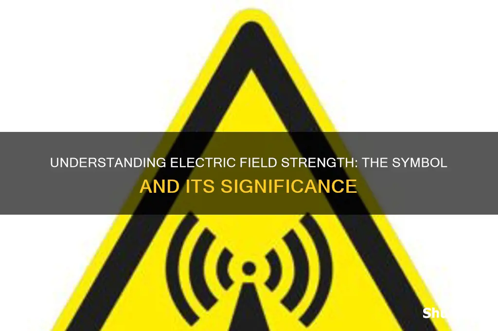 what symbol is used to represent electric field strength