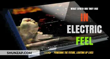 Electric Feel's Synth Secrets: Unveiling the Iconic Sound Behind the Hit