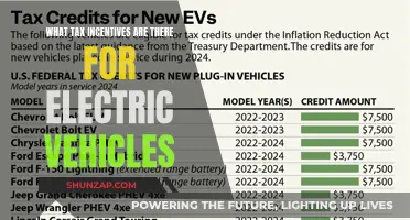 Unleash Savings: Tax Incentives for Your Electric Vehicle Journey