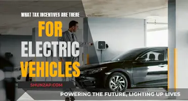 Tax Breaks for Electric Vehicles: What You Need to Know