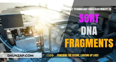 Electricity-Powered DNA Sorting: Revolutionary Technology for Fragment Analysis