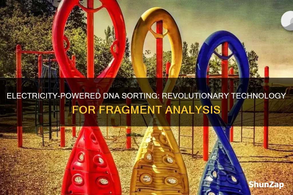 what technology uses electricity to sort dna fragments