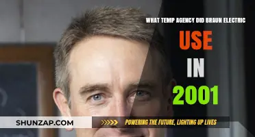 Braun Electric's 2001 Temp Agency Partnership: Uncovering the Staffing Solution
