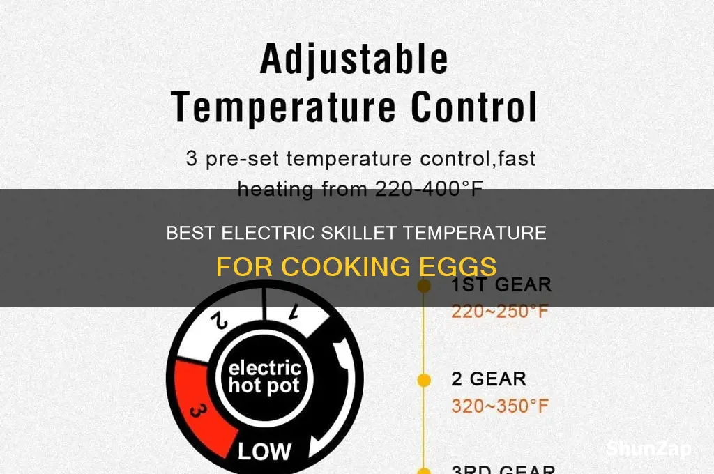 what temp for eggs in electric skillet