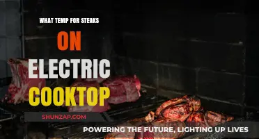 The Perfect Electric Cooktop Temperature for Steaks