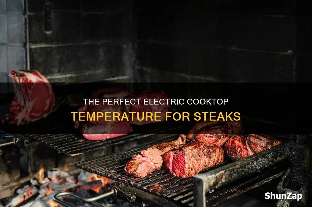 what temp for steaks on electric cooktop