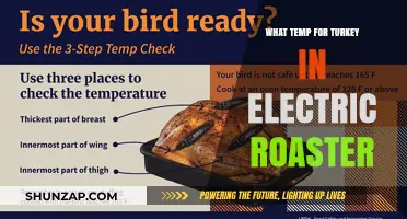 Perfectly Roasted Turkey: Electric Roaster Temperature Guide