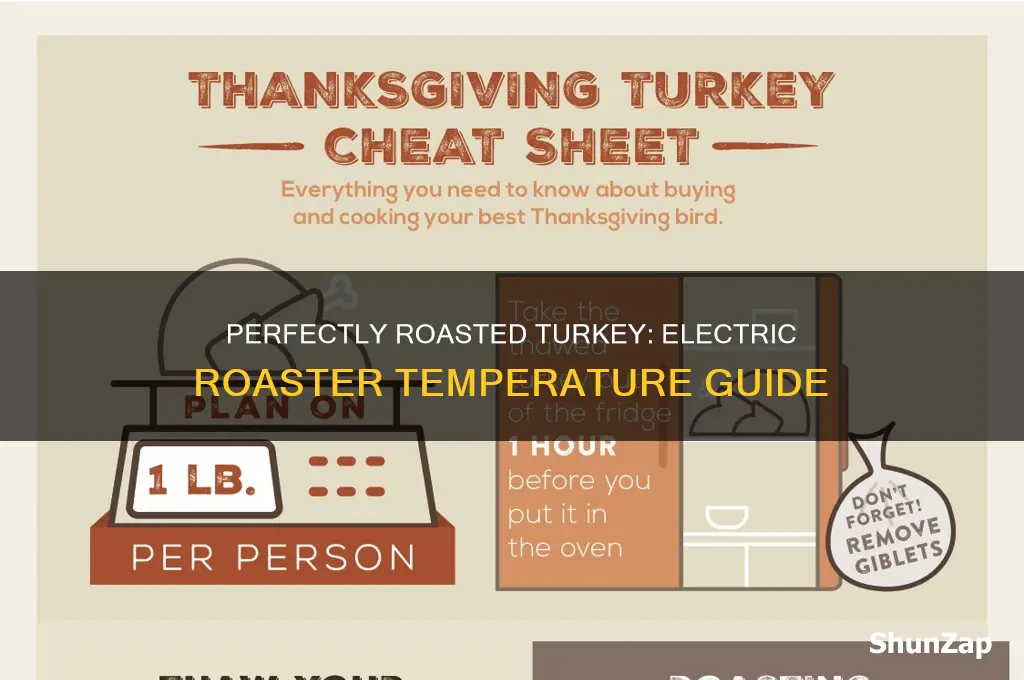 what temp for turkey in electric roaster