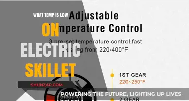 Ideal Temperature Range for Electric Skillets