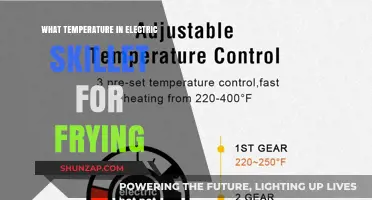 Best Electric Skillet Temperature for Frying