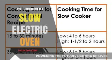 The Perfect Slow Electric Oven Temperature