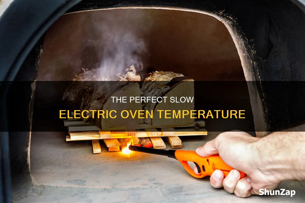 what temperature is a slow electric oven