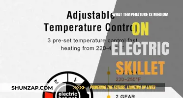 The Ideal Medium Temperature for Your Electric Skillet