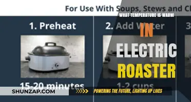 Best Temperature Settings for Electric Roasters