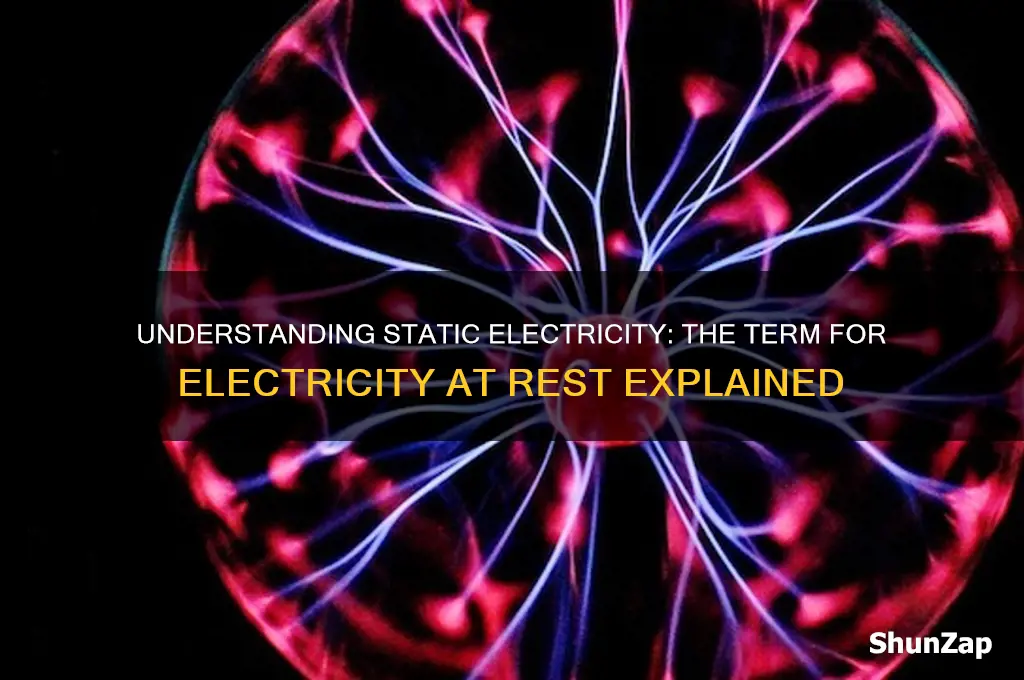 what term is used for electricity at rest