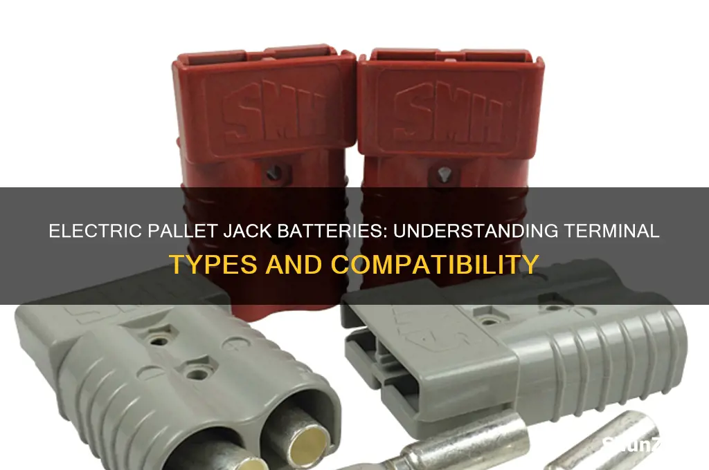 what terminal types do batteries for electric pallet jack use