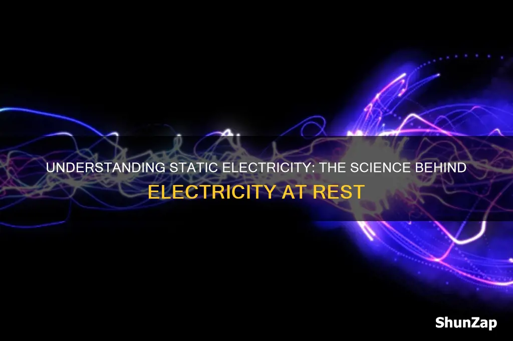 what terms is used for electricity at rest