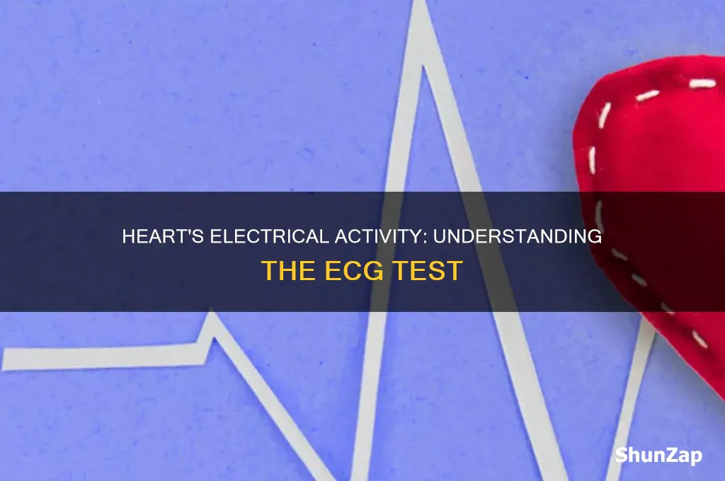 what test records heart