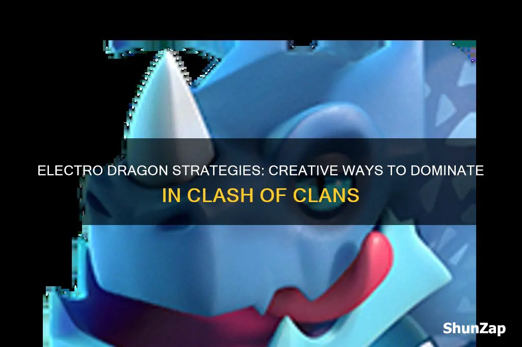 what th can use the electro dragon