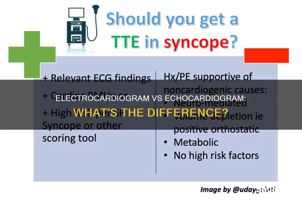 what the difference between and electro echocardiogram
