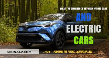 Hybrid vs. Electric Cars: Key Differences and Which One to Choose
