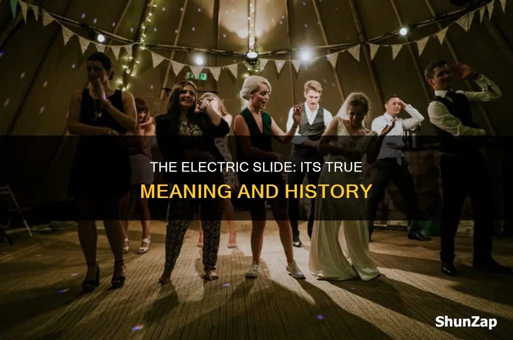what the electric slide is really about