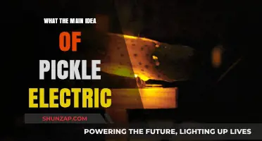 Electric Pickling: The Future of Food Preservation