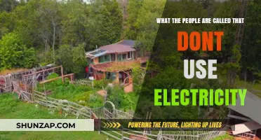 Off-Grid Lifestyles: Exploring Communities That Choose to Live Without Electricity