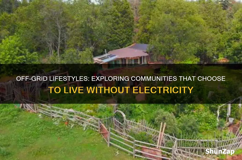 what the people are called that dont use electricity