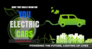 Electric Cars: Decoding Their Real Impact on Your Daily Life