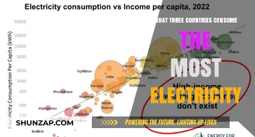 Energy-Hungry Giants: Top 3 Electricity Consumers