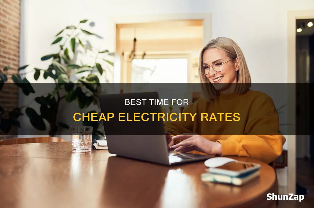 what time does cheap rate electricity start
