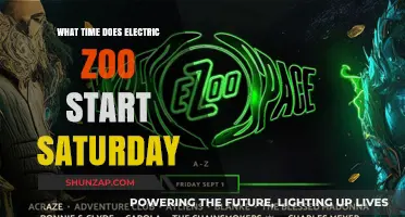 Electric Zoo: Saturday Start Time Revealed