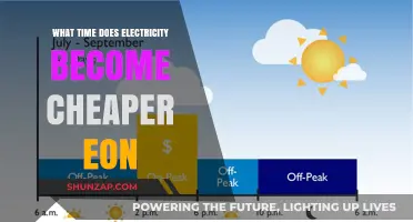 Electricity Cost Savings: Eon's Off-Peak Hours