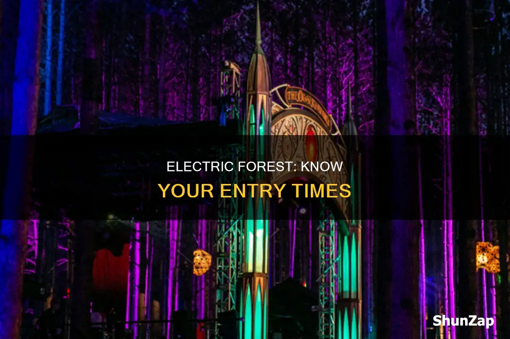 what time does the electric forest open